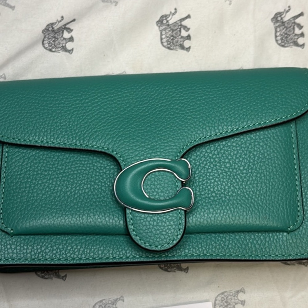 NWT Coach Green Crossbody Bag with Leather Flap